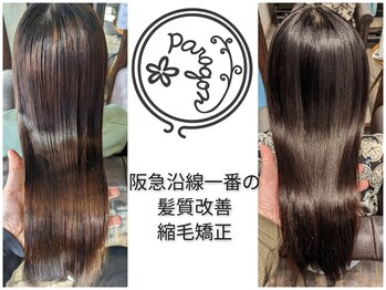 Paragon hair【パラゴンヘア】