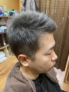 ヘアーパークスキル(Hair Park Skill) シルバーカラー