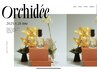 【期間限定】カラートリートメント＋メゾンオルキデのオイル20mlプレゼント♪