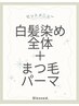 《セットメニュー》白髪染め全体+まつ毛パーマ ¥10000