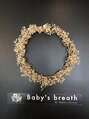 ベイビーズブレス(Baby's breath)/Baby’s breath