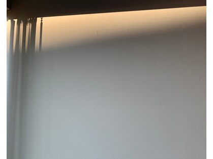 マルコ(marco)の写真