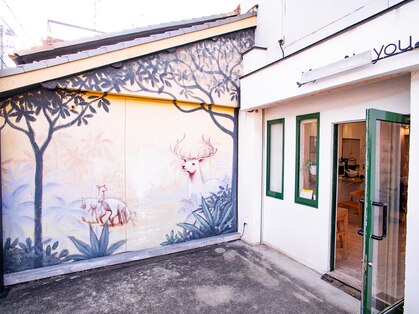 ユウ(you)の写真