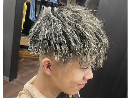 レグルス(REGULUS)の写真