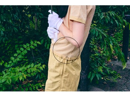 イン(in.)の写真