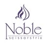 シザーズトリックス ノーブル(scissorstrix Noble)のお店ロゴ