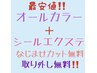 カラー＋最高級レミーシール62センチ30枚.40枚コース♪15000円～♪カット無料