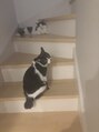 ヘアサロン フラット(Hair salon flat)&nbsp;兄弟猫です♪