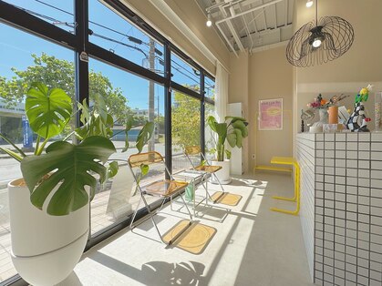 プリュム(plumu.)の写真