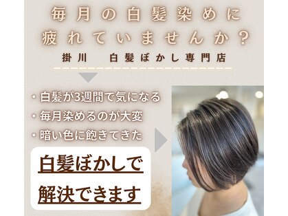 スガミ(SUGAMI)の写真