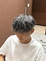 イー(E) シルバーメッシュ×ツイストスパイラル