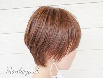 Monkeypod【モンキーポッド】