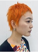 オレンジベリーショート