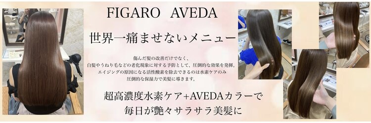 フィガロ アヴェダ(FIGARO AVEDA)のサロンヘッダー
