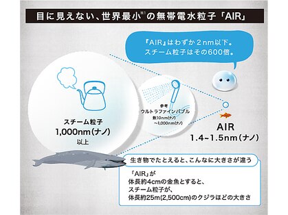 アダモ(ADAMO)の写真