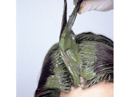 サリ(Sari)の写真