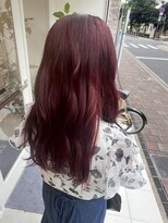 モナルダ(Monarda) チェリーレッド