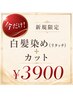 今だけ!≪新規・口コミ投稿限定価格≫白髪染め(リタッチ)+カット ¥3900