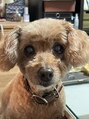 ヘアアンドネイル コージー(Hair&Nail COZY) ペットのたらこ1