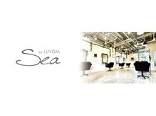 経験豊富なスタイリストがしっかりとカウンセリングさせていただきます☆