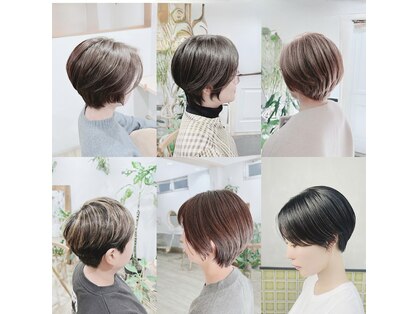 フィグ(fig)の写真