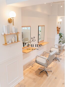 プラネシブヤ(Prune Shibuya)の写真/【HOT PEPPER Beauty HAIR COLLECTION 2025 スタイル350選出】こだわりのインテリアが揃う落ち着いた店内◎