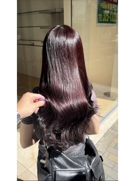 ベル(BEL) ボルドーワイン