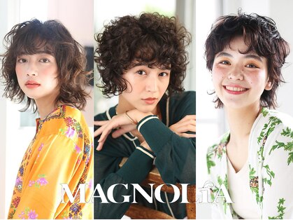 マグノリア(MAGNOLIA)の写真