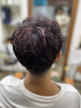 ソル(sol) ランダムハイライト