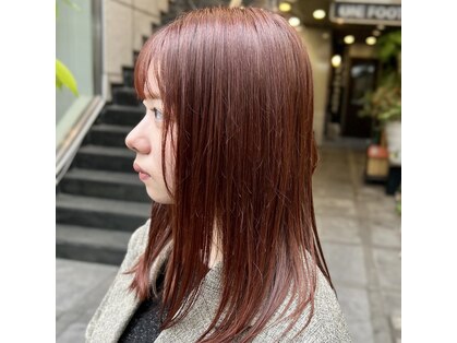 カスミ 霞(KASUMI)の写真