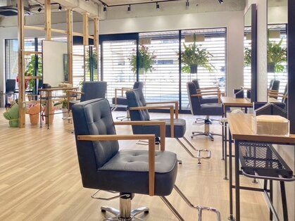 ループ バイ エスポワール(LoooP by Espoir)の写真