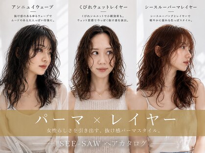 シーソー(SEE-SAW)の写真