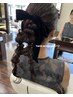 【スタイリスト阿部指名限定】ヘアセット4950円
