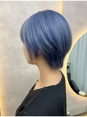 アイスブルー/ブルーシルバー/ハイトーンカラー