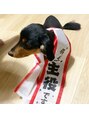 フーコー 小倉魚町店 (fuhcoh) 犬1匹飼ってます(^^)毎日甘えんぼさんで癒されております(^^)