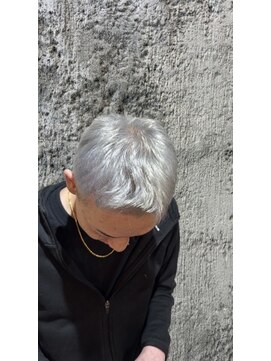 ウィスカーズ(Whiskers) ハイトーンホワイトシルバーショート