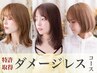【カラー人気No1】ダメージレスカラー+選べるTR¥14300→¥8360(白髪染めOK)