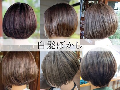 ナンバーエイト(number eight)の写真