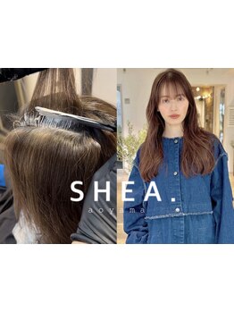 【SHEAの＃育てるハイライト】で、隠す白髪染めから色を楽しむ自然な明るいグレイカラーへ。[青山/表参道]