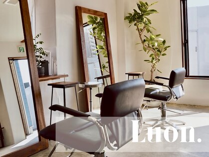 ルオン(Luon.)の写真