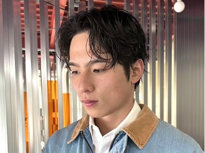 シロ(Shiro)の写真