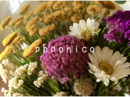 ポポニコ(poponico)の写真