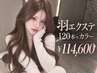 【羽エクステ】ハネエクステ120本＋カラー ￥114600