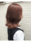 HILLSおすすめ