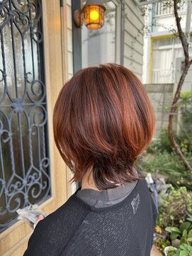 チョコレート(chocolate) ソフトウルフ