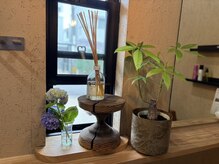 リラ(Lilas)の雰囲気（マンツーマン/女性専用）