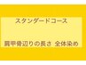 スタンダードコース ●肩甲骨 辺りの長さ 全体染め