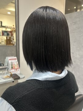 ガーベラ(gerbera) ブルーブラック