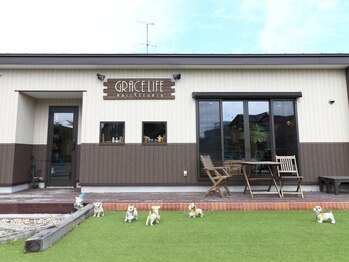 グレース ライフ ヘアー スタジオ(GRACE LIFE Hair Studio)の写真/完全マンツーマンでご案内♪周りを気にせずゆったりと寛げる空間が◎髪のお悩みもご相談ください◎