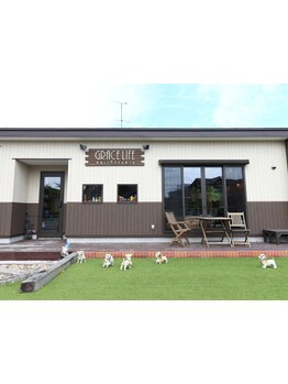 完全マンツーマンでご案内♪周りを気にせずゆったりと寛げる空間が◎髪のお悩みもご相談ください◎